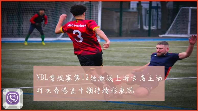 NBL常规赛第12场激战上海玄鸟主场对决香港金牛期待精彩表现